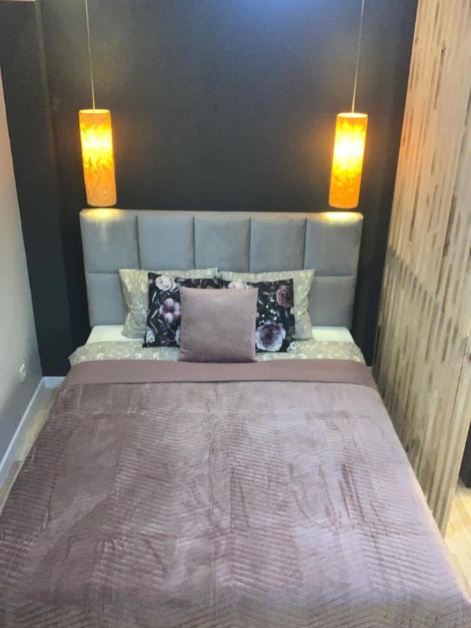 Petit Appartement Krakow Dış mekan fotoğraf